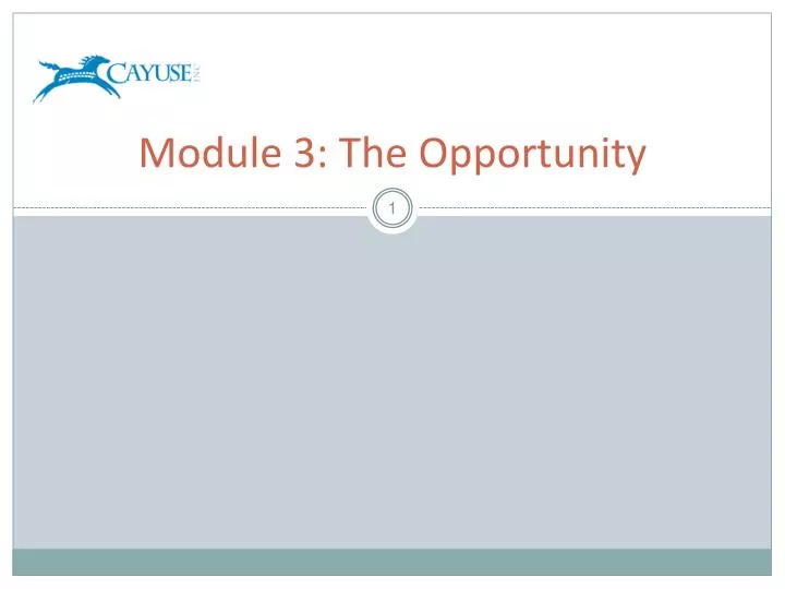 module 3 the opportunity