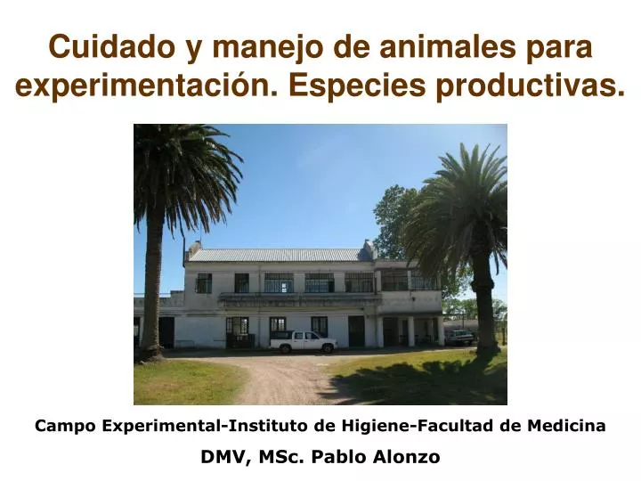 cuidado y manejo de animales para experimentaci n especies productivas