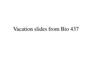 Vacation slides from Bio 437