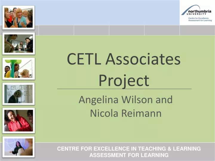 cetl associates project