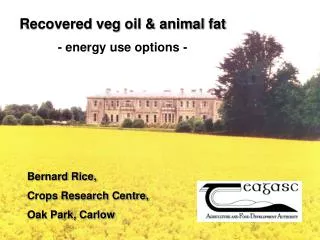 Recovered veg oil &amp; animal fat - energy use options -