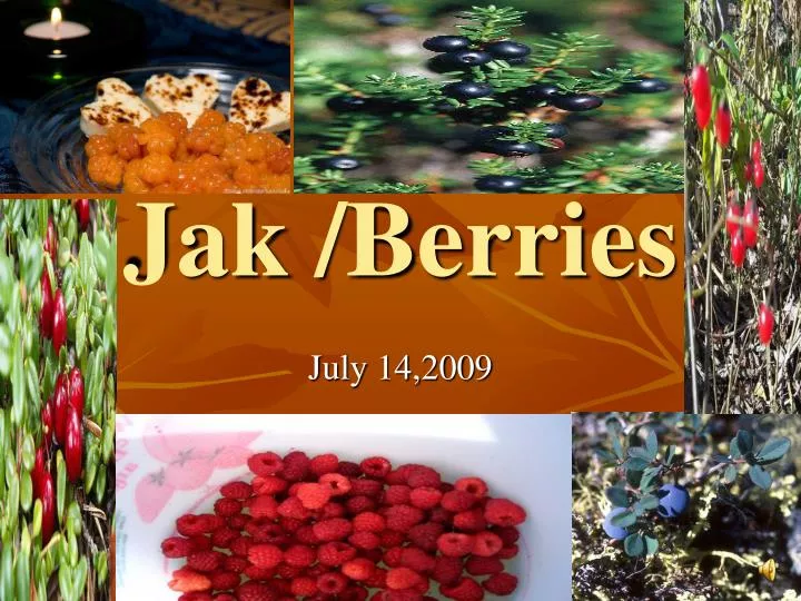 jak berries