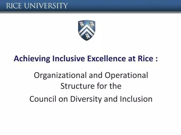 achieving inclusive excellence at rice