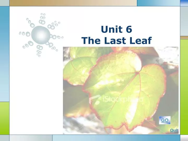 unit 6 the last leaf