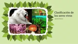 clasificaci n de los seres vivos