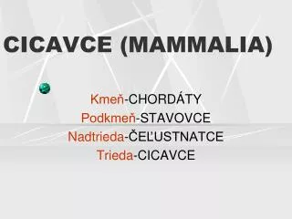 cicavce mammalia