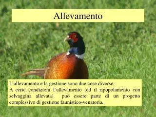 allevamento