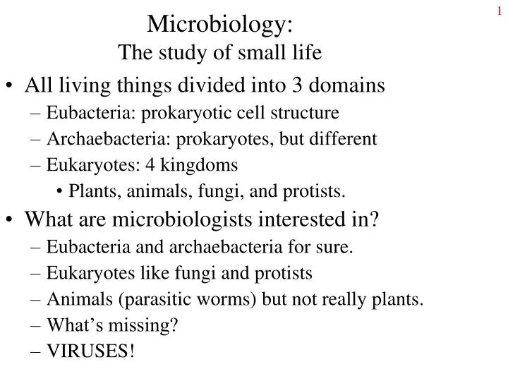 microbiology the study of small life