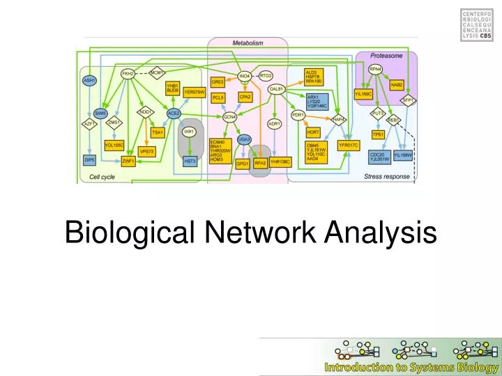 biological network analysis