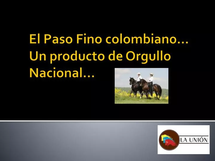 el paso fino colombiano un producto de orgullo nacional