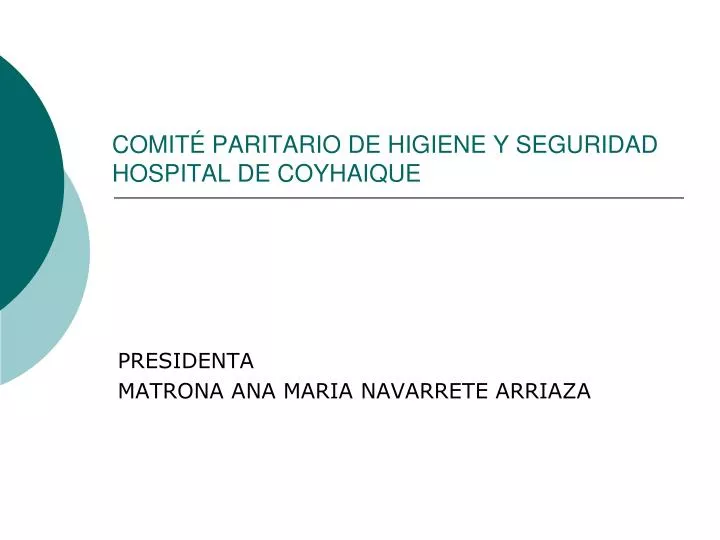 comit paritario de higiene y seguridad hospital de coyhaique