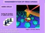 AFM - slide 1
