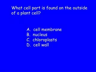 What cell part is found on the outside of a plant cell?