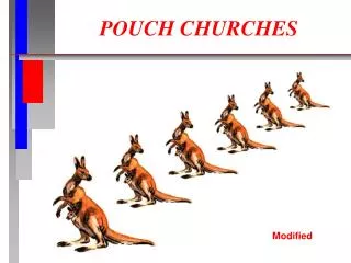 POUCH CHURCHES