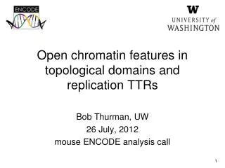 Open chromatin features in topological domains and replication TTRs