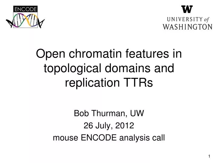 open chromatin features in topological domains and replication ttrs