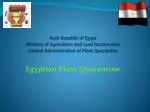 Egyptian Plant Quarantine - slide 1