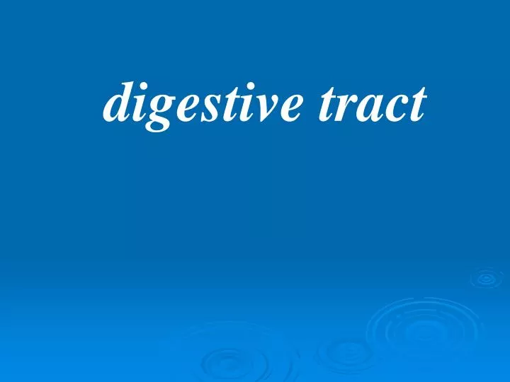 PPT - digestive tract PowerPoint Presentation, free download - ID:4308190