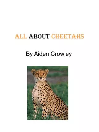All about Cheetahs