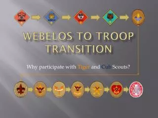 Webelos to Troop Transition