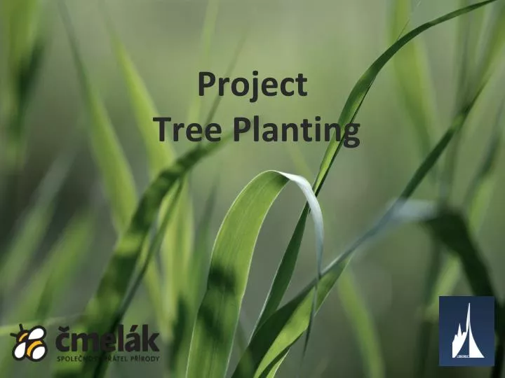 project tree planting