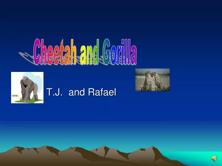 t j and rafael