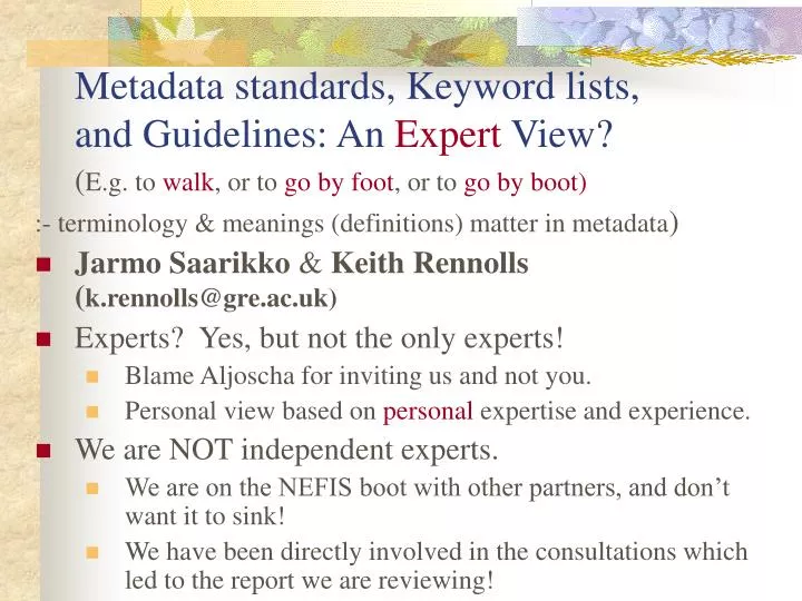 metadata standards keyword lists and guidelines an expert view