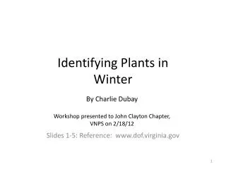 Identifying Plants in Winter