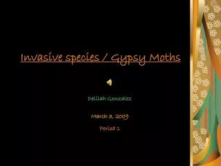 Invasive species / Gypsy Moths