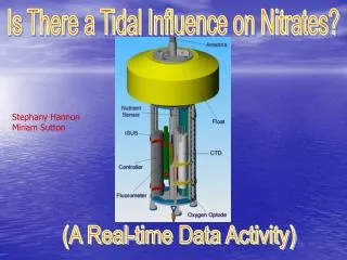 Is There a Tidal Influence on Nitrates?