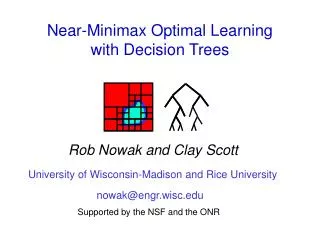 Near-Minimax Optimal Learning with Decision Trees