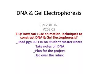 DNA &amp; Gel Electrophoresis