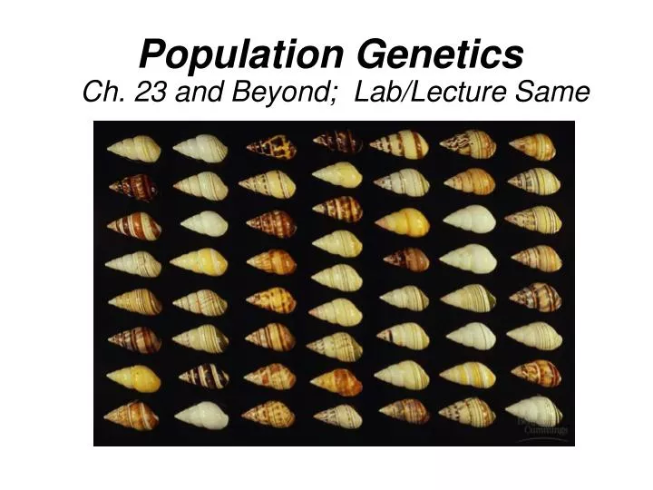 population genetics ch 23 and beyond lab lecture same