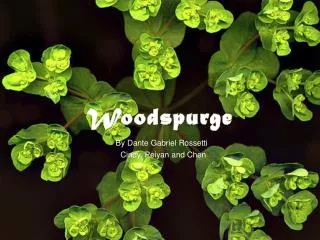 Woodspurge