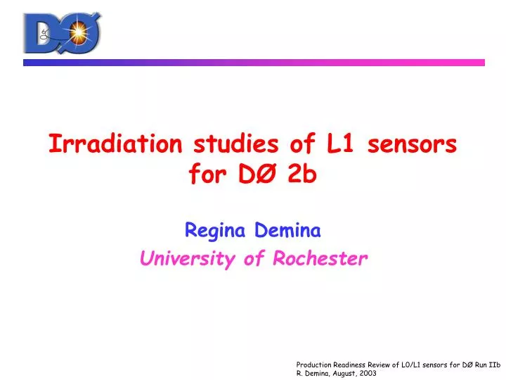 irradiation studies of l1 sensors for d 2b