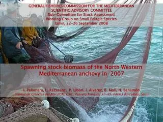 Spawning stock biomass of the North Western Mediterranean anchovy in 2007