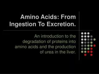 Amino Acids: From Ingestion To Excretion.