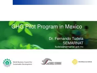 GHG Pilot Program in Mexico Dr. Fernando Tudela SEMARNAT ftudela@semarnat.gob.mx