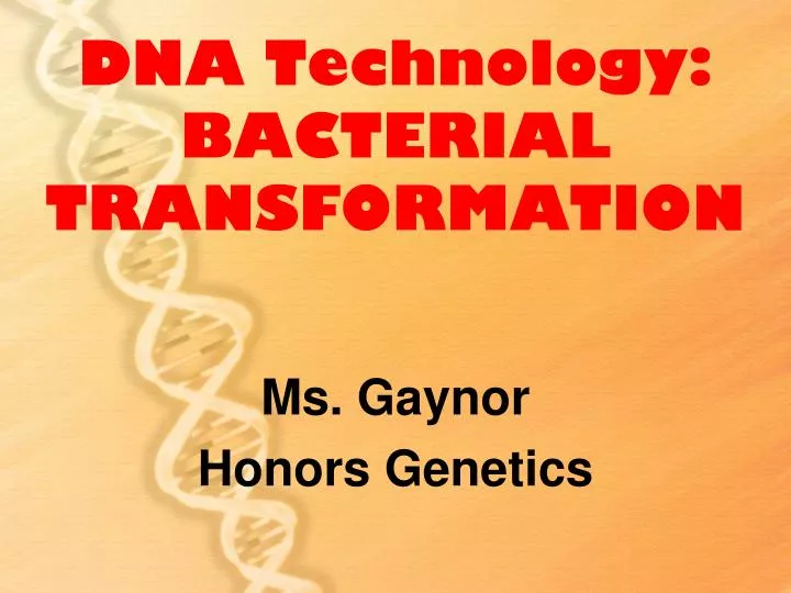 dna technology bacterial transformation