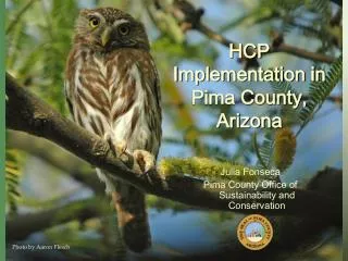 HCP I mplementation in Pima County, Arizona
