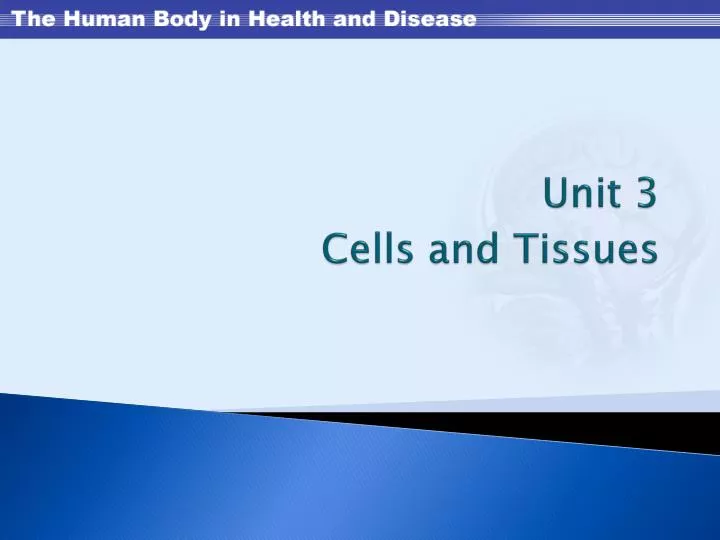 unit 3 cells and tissues