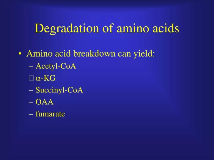 degradation of amino acids