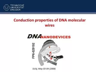 Conduction properties of DNA molecular wires