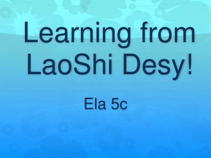 learning from laoshi desy