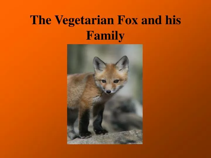 the vegetarian fox and his family