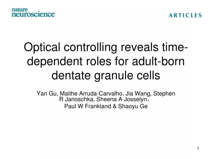 optical controlling reveals time dependent roles for adult born dentate granule cells