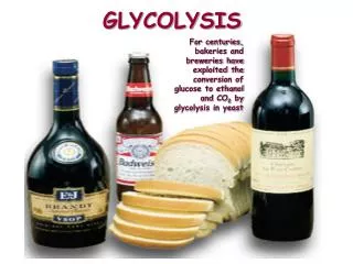 GLYCOLYSIS