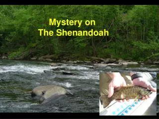 Mystery on The Shenandoah