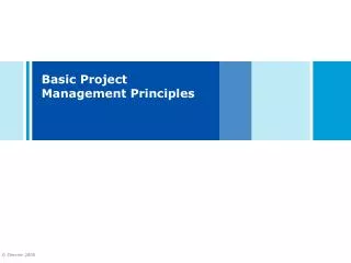 basic project management principles