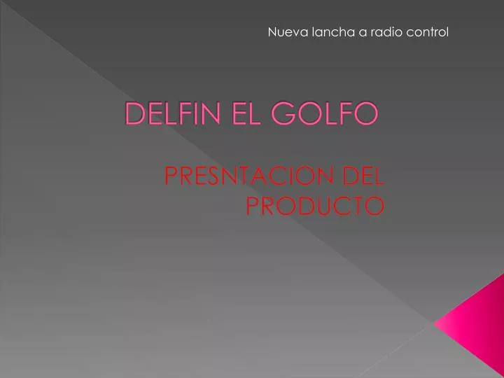 delfin el golfo